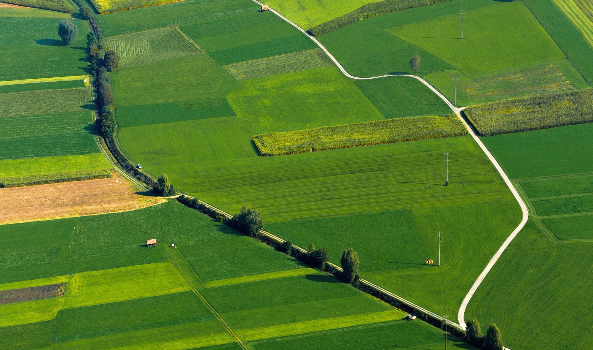 SOVANO - Sostenibilit&agrave; ambientale nella filiera uva-vino