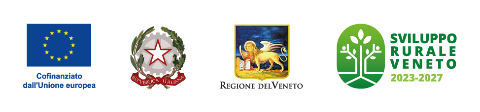 Organismo di formazione accreditato Regione del Veneto